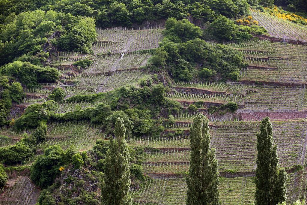 Ernst Cluesserath Weingut & Weinhotelchen Trittenheim Exterior photo